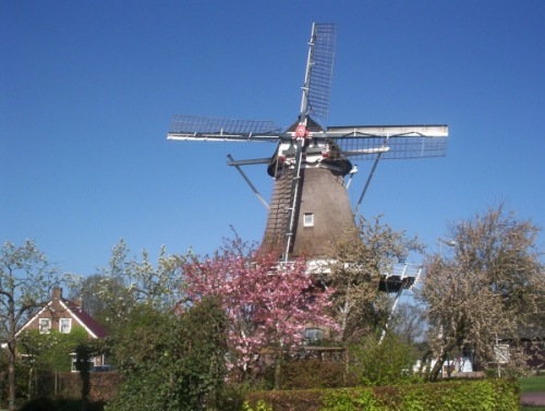 molen